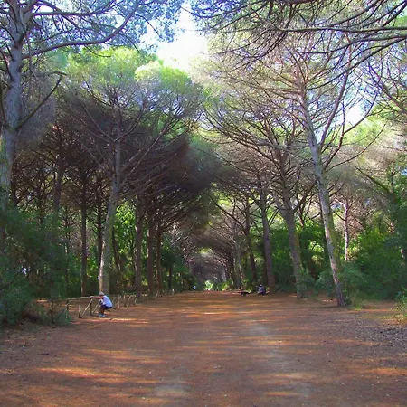 公寓 Luxurious In Tuscany Near The